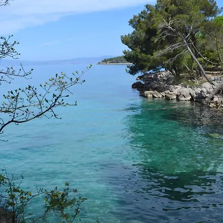 My Paradies - Studio**** نجيفيش