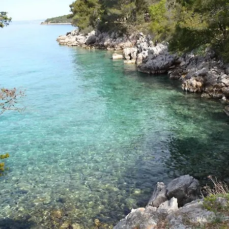 My Paradies - Studio****