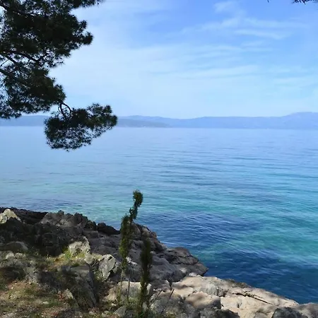 My Paradies - Studio****