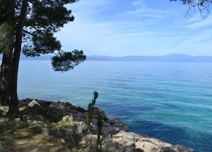 My Paradies - Studio****