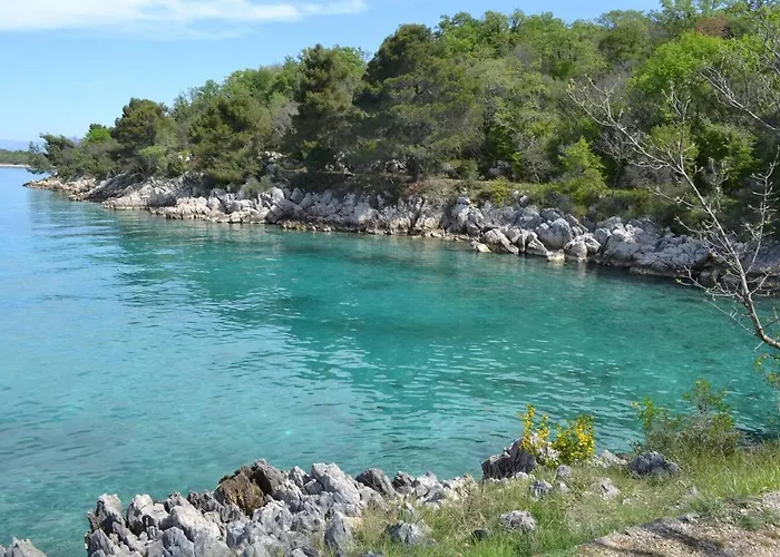 Daire My Paradies - Studio****