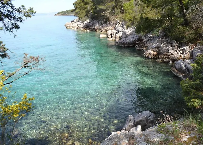 My Paradies - Studio****